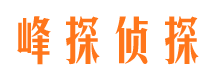 宛城市侦探公司